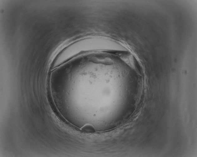 X0000084560007200703091757