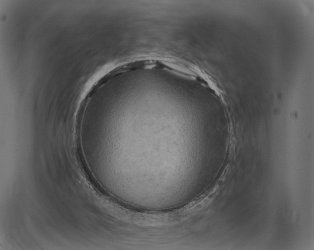 X0000084560008200703091757