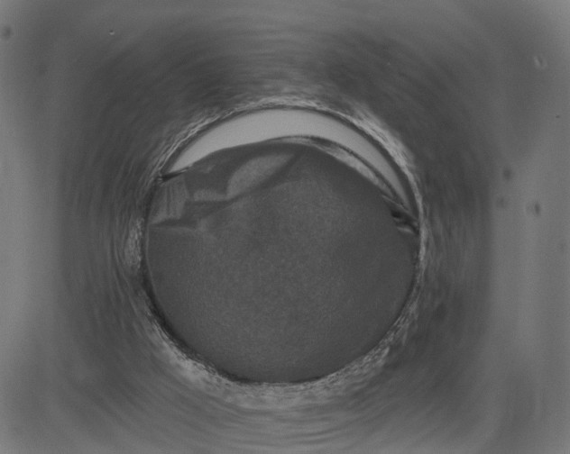 X0000084560009200703091757