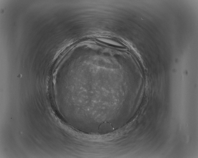 X0000084560010200703091757