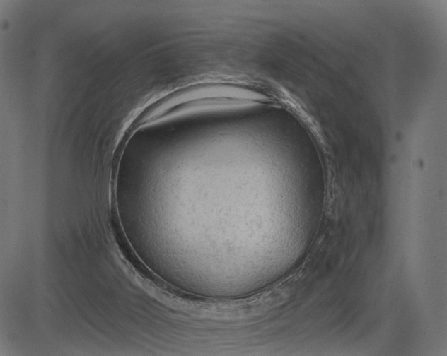 X0000084560011200703091757