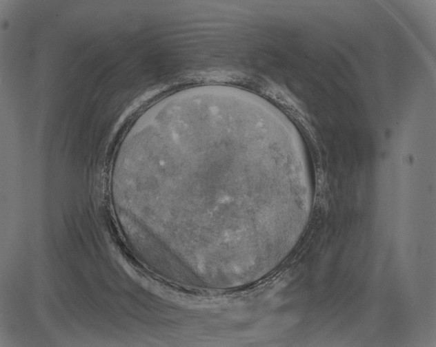 X0000084560012200703091757