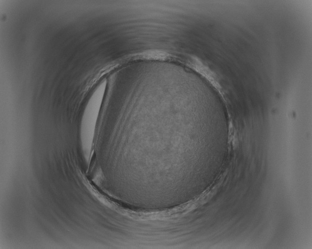 X0000084560013200703091757