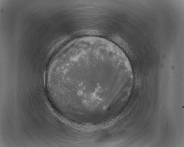 X0000084560014200703091757