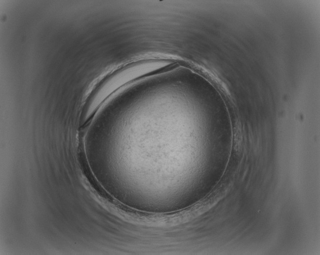 X0000084560015200703091757