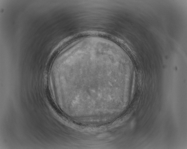 X0000084560016200703091757