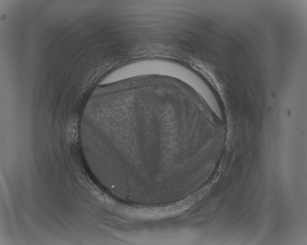 X0000084560017200703091757