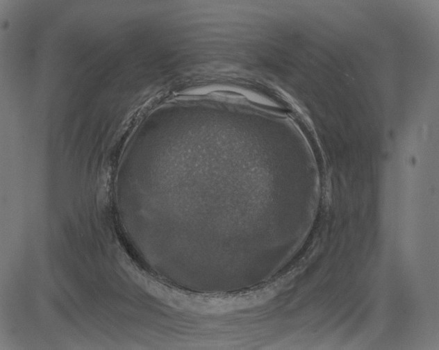 X0000084560018200703091757