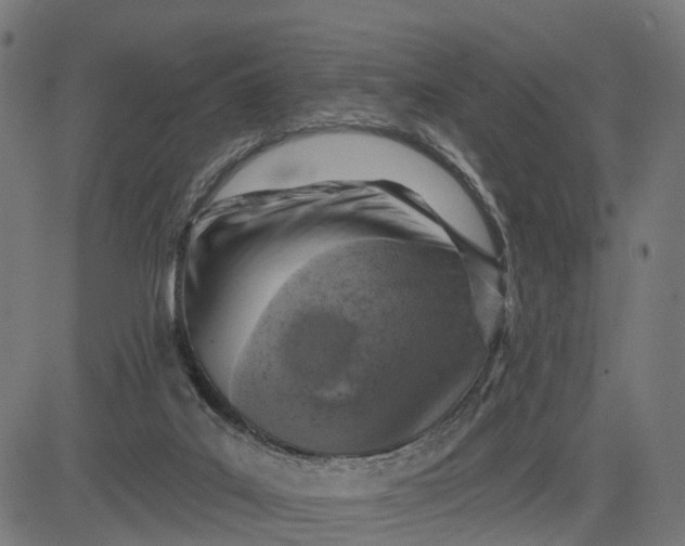 X0000084560019200703091757