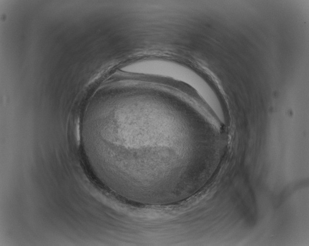 X0000084560020200703091757