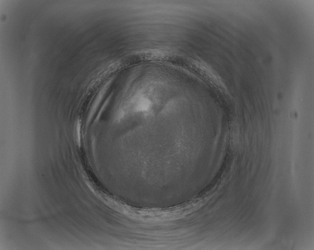 X0000084560022200703091757