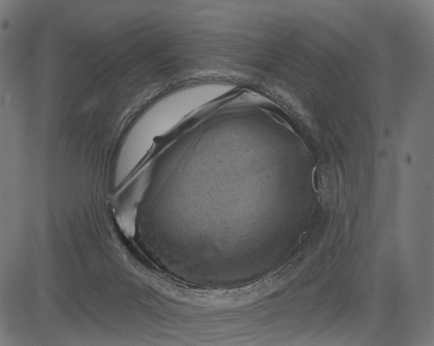 X0000084560023200703091757