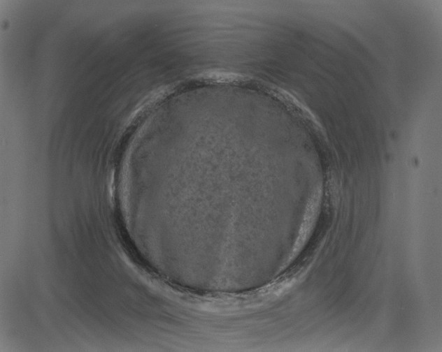 X0000084560024200703091757