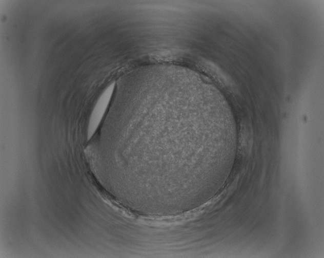 X0000084560025200703091757