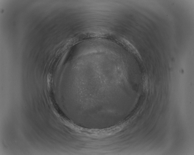 X0000084560026200703091756