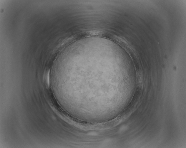 X0000084560028200703091756