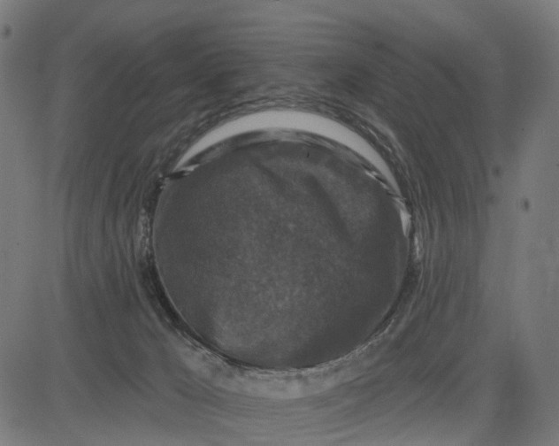 X0000084560029200703091756