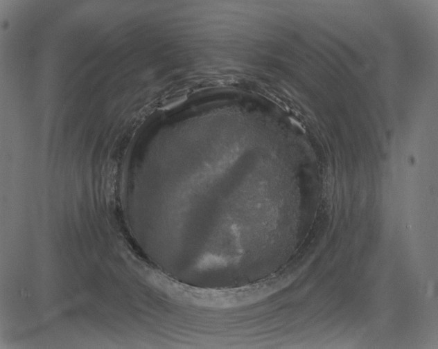 X0000084560030200703091756