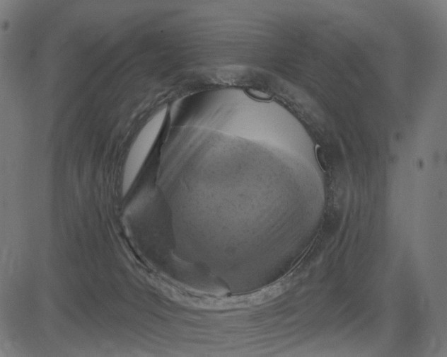 X0000084560031200703091756