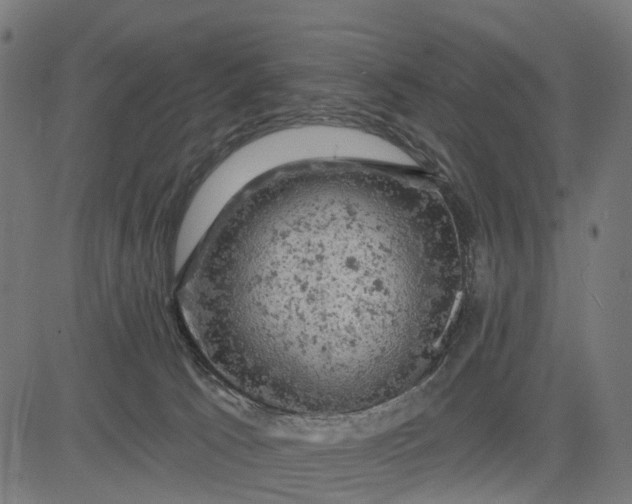 X0000084560033200703091756