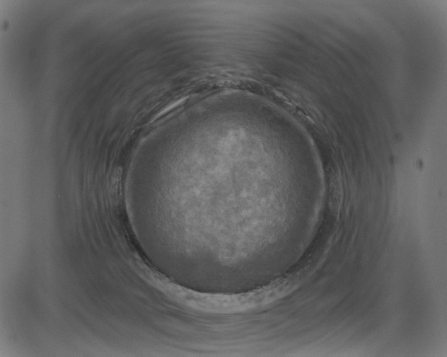 X0000084560034200703091756