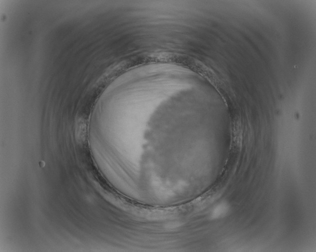 X0000084560036200703091756