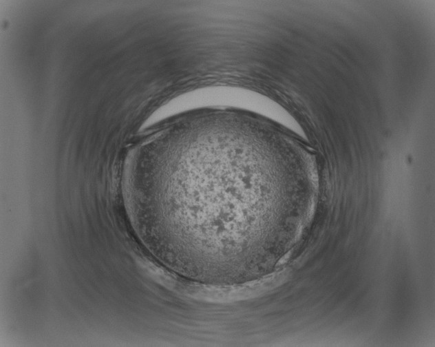 X0000084560037200703091756