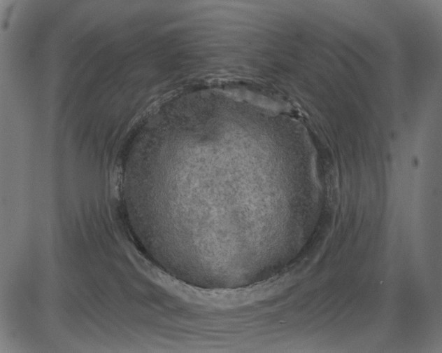 X0000084560038200703091756