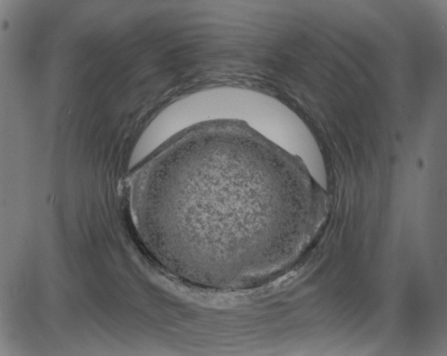 X0000084560040200703091756