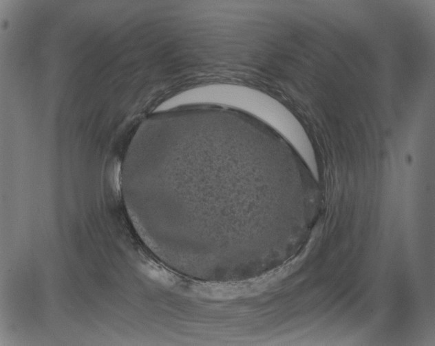 X0000084560041200703091756