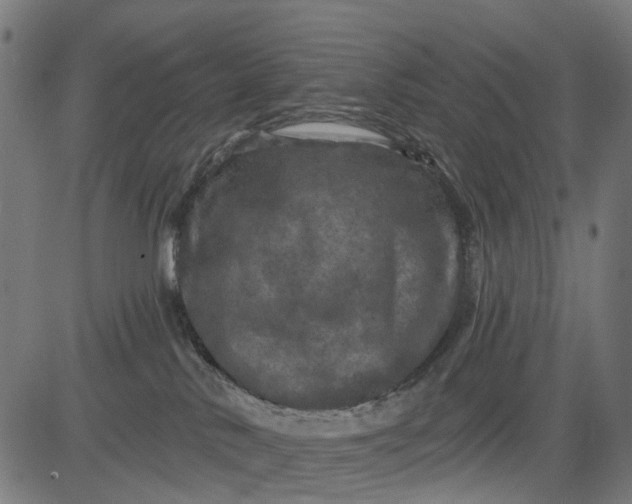 X0000084560042200703091756