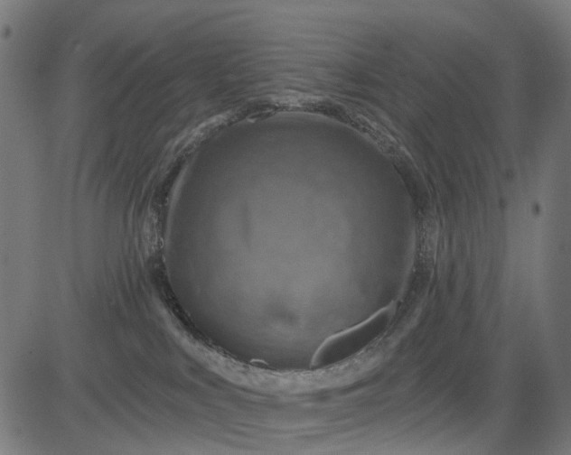 X0000084560043200703091756