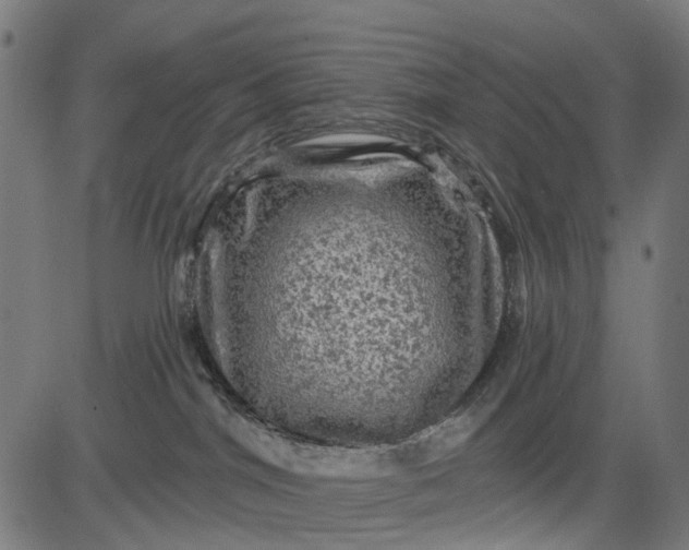 X0000084560044200703091756