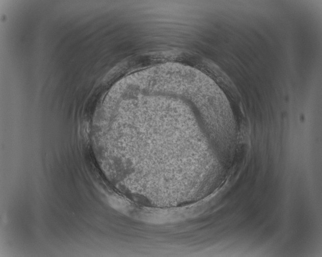 X0000084560045200703091756