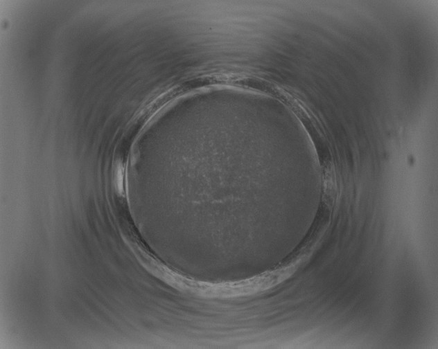 X0000084560046200703091756