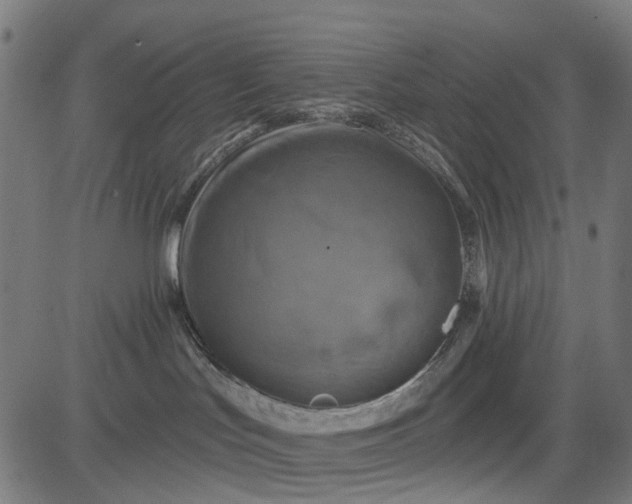 X0000084560047200703091756