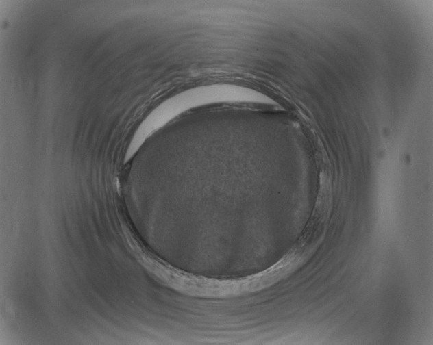 X0000084560048200703091756