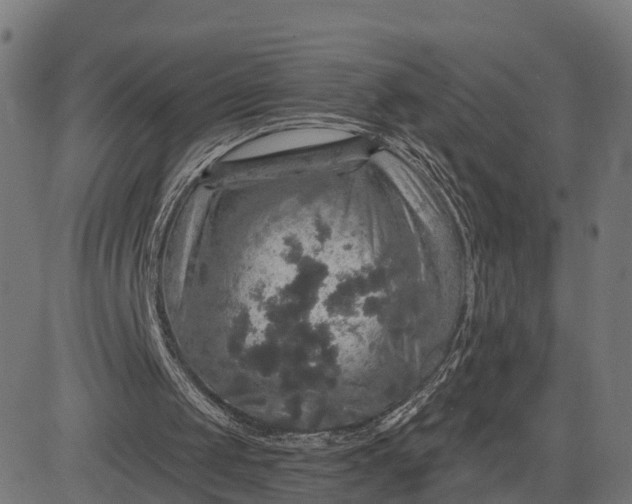 X0000084560049200703091755