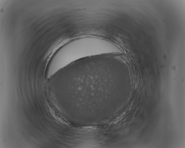 X0000084560050200703091755