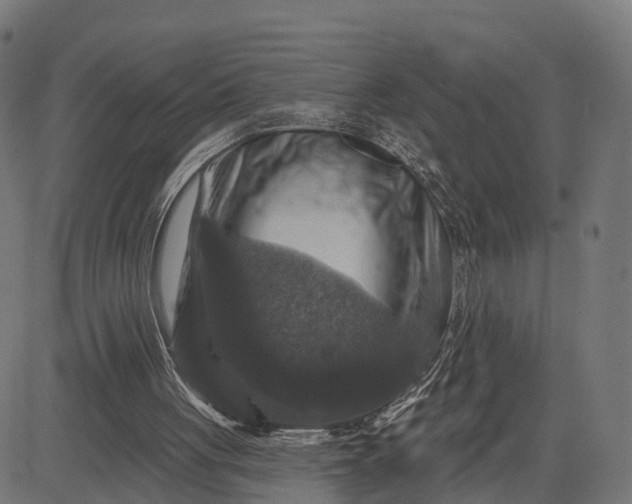 X0000084560051200703091755