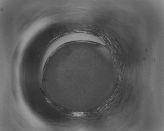 X0000084560052200703091755