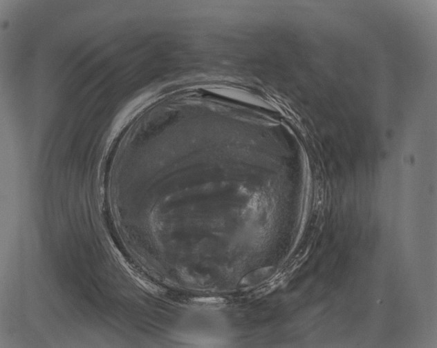 X0000084560053200703091755