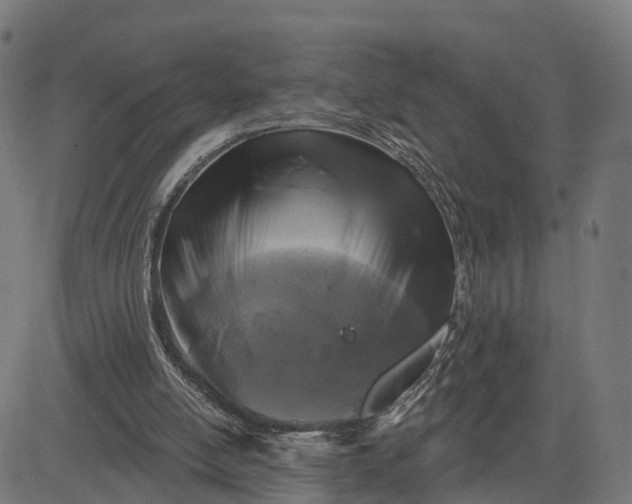 X0000084560054200703091755