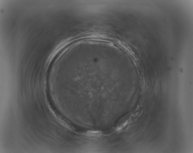 X0000084560055200703091755