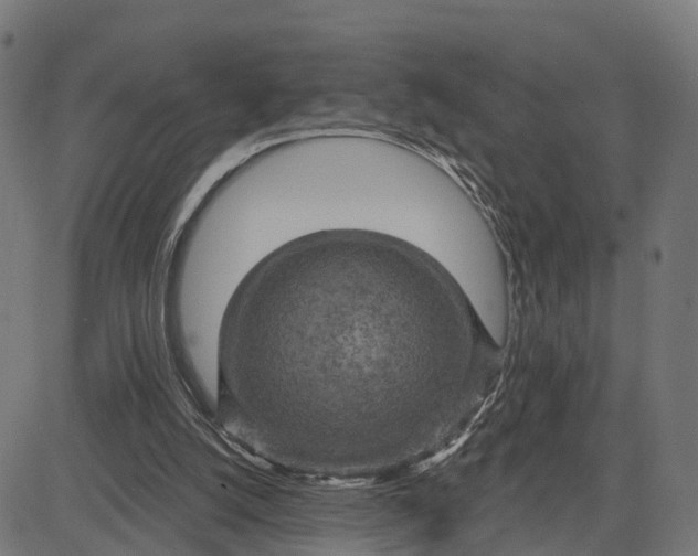 X0000084560056200703091755