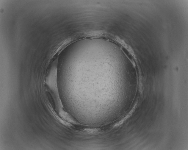 X0000084560057200703091755