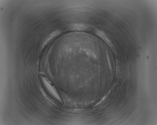 X0000084560058200703091755