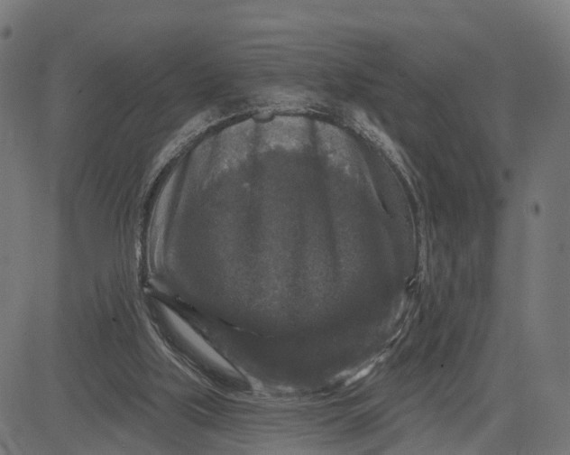 X0000084560059200703091755