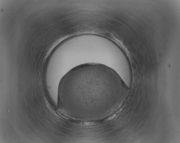 X0000084560060200703091756