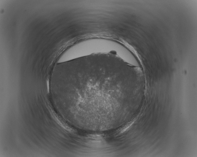 X0000084560061200703091756